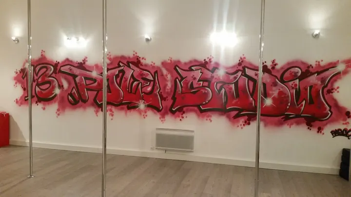 13 pole studio — pole fitness-studio à Saint-Thibault-des-Vignes, Paris — 2