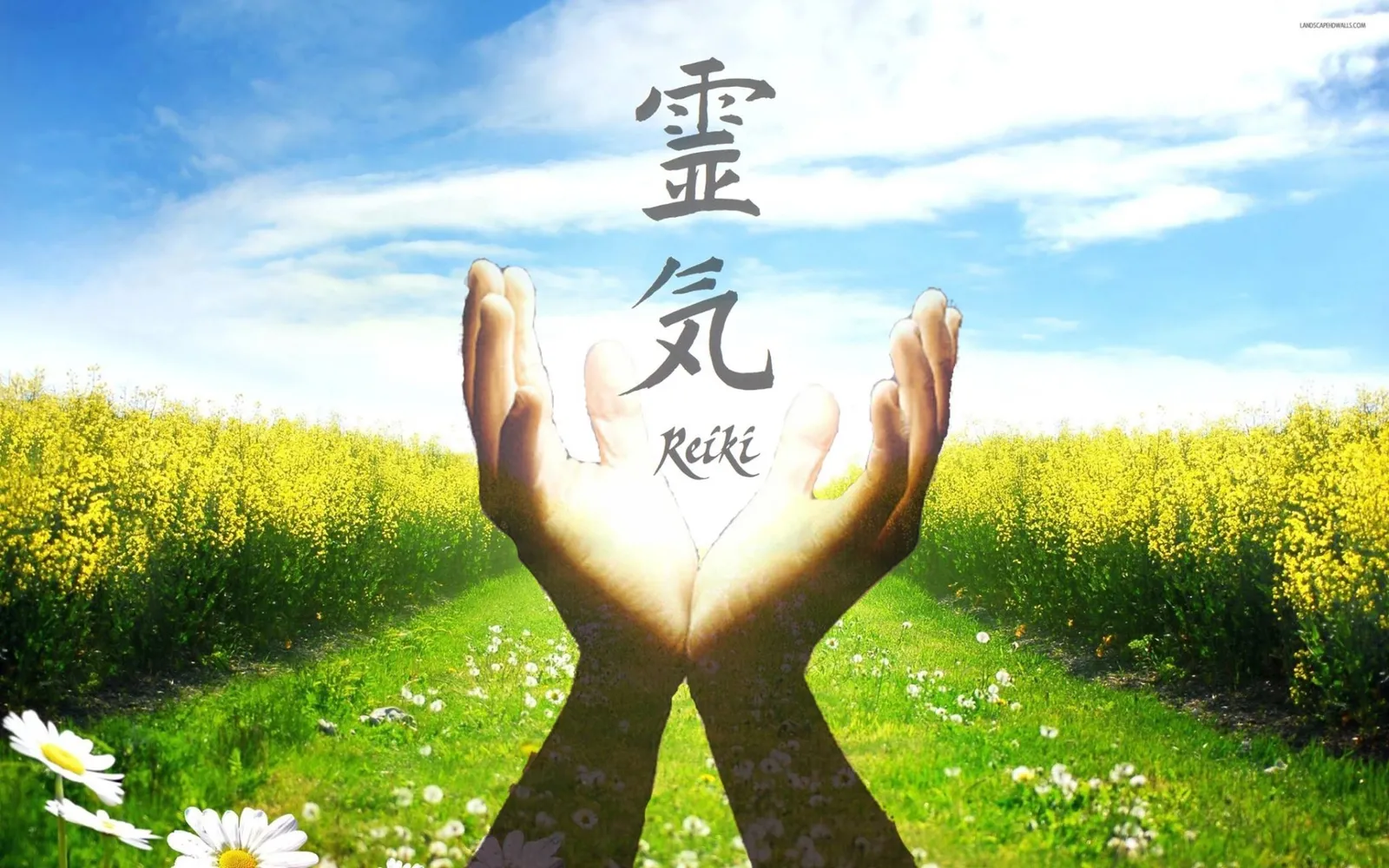 CENTRO NAMASTE REIKI Y MEDITACIÓN — meditación-studio en Vitoria-Gasteiz — 2