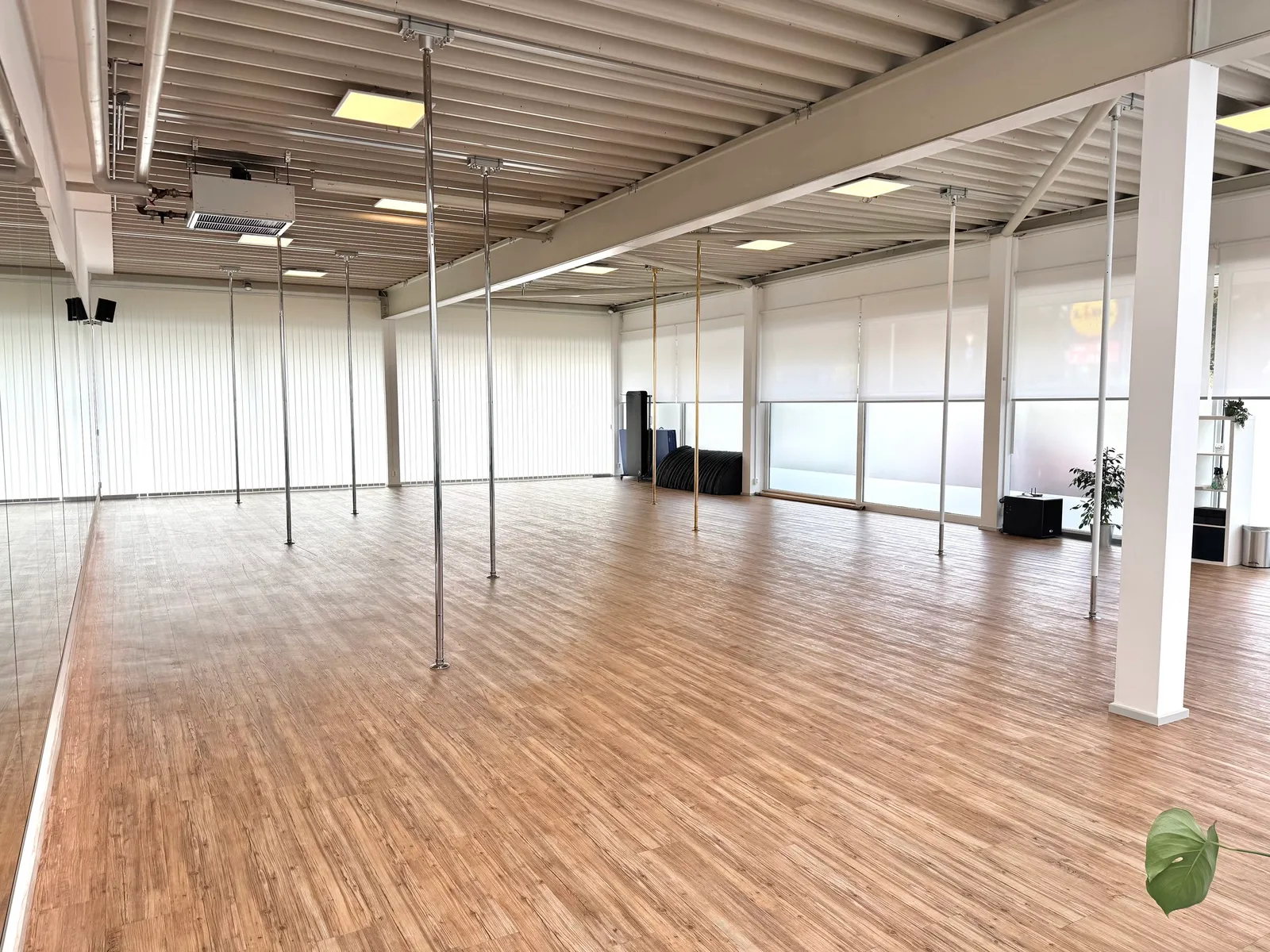 Ankes Polestudio — dans-studio i Olpe — 3