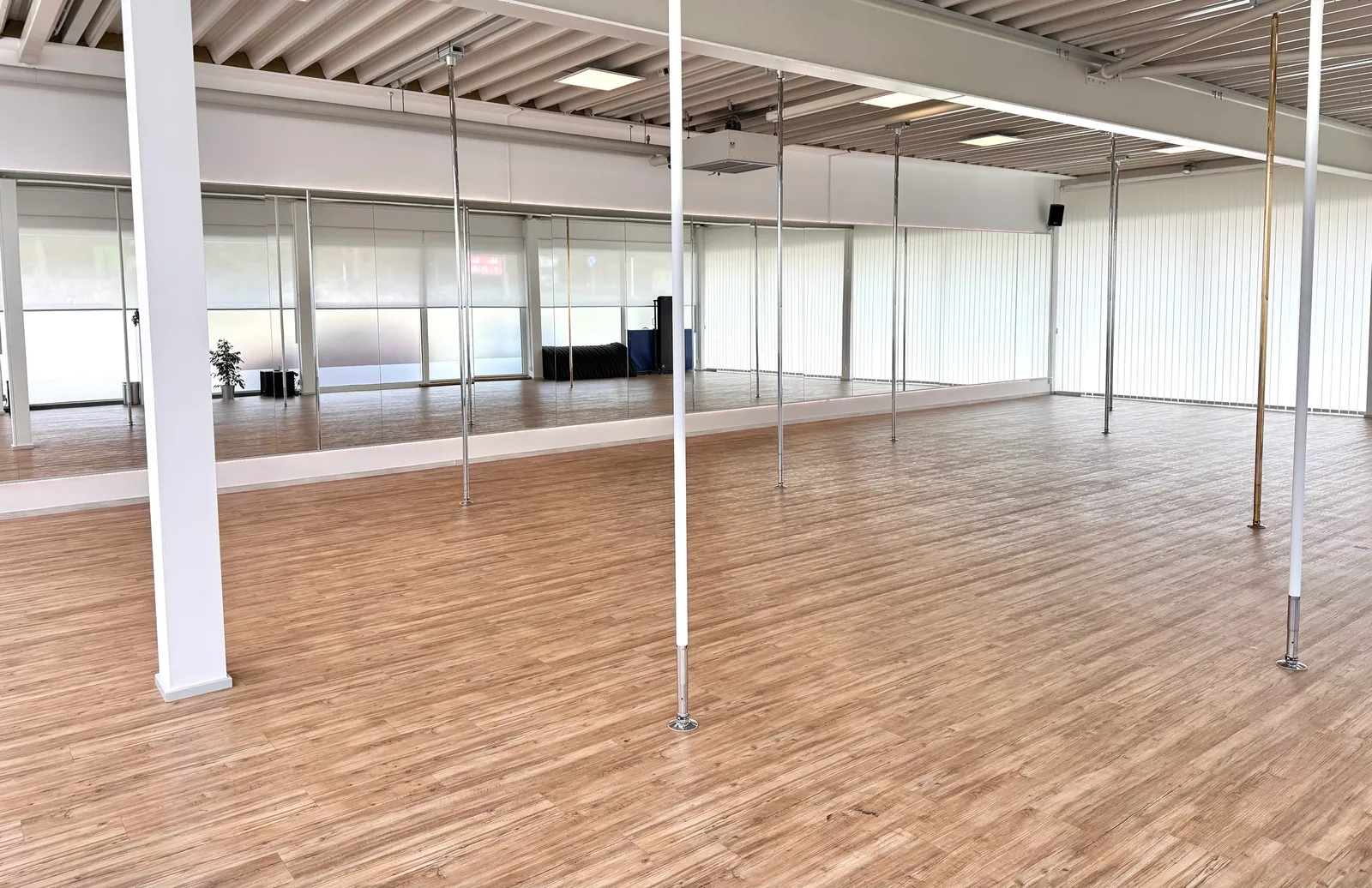 Ankes Polestudio — dans-studio i Olpe — 5