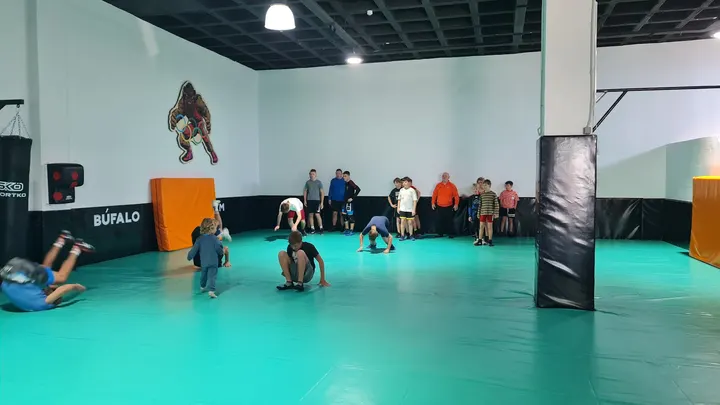 Bufalo Olimpic Gym — estudio de fitness-studio en Alicante — 4