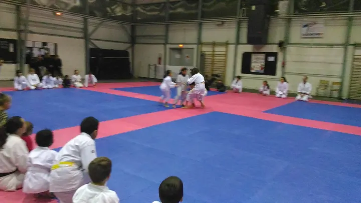 karaté club Echirolles — Arts martiaux à Échirolles