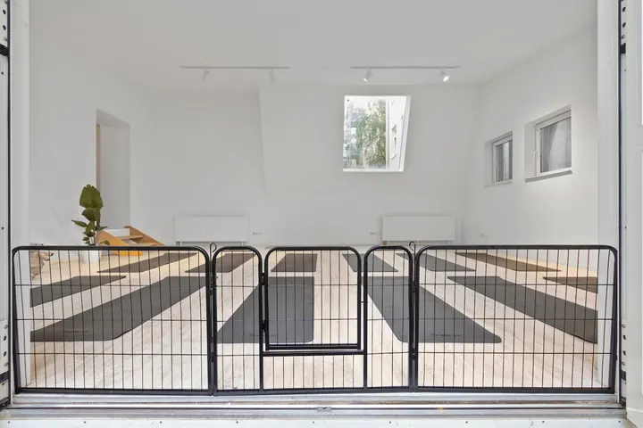Four Paws Studio — Yoga in Maxvorstadt, München
