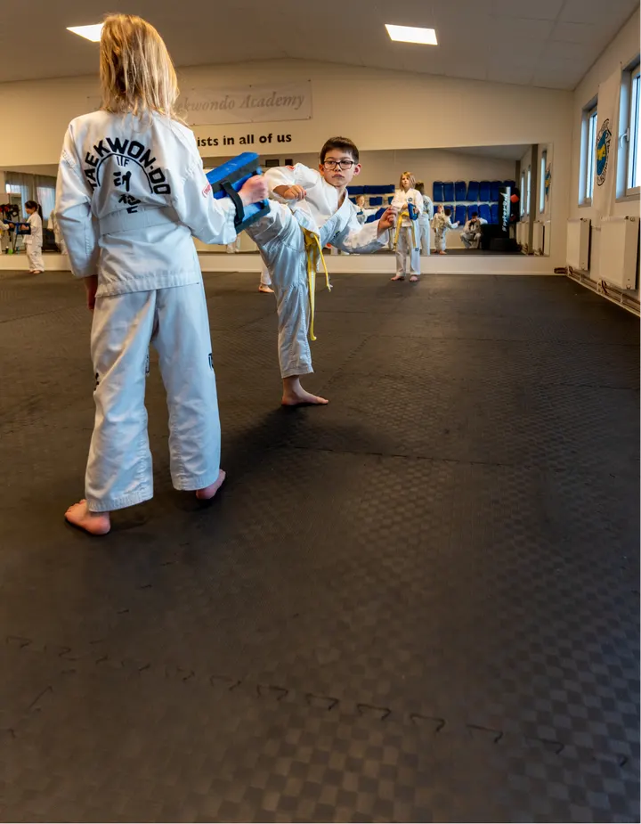 Tyresö Taekwondo Academy IF — martial arts-studio in Tyresö, Stockholm — 2