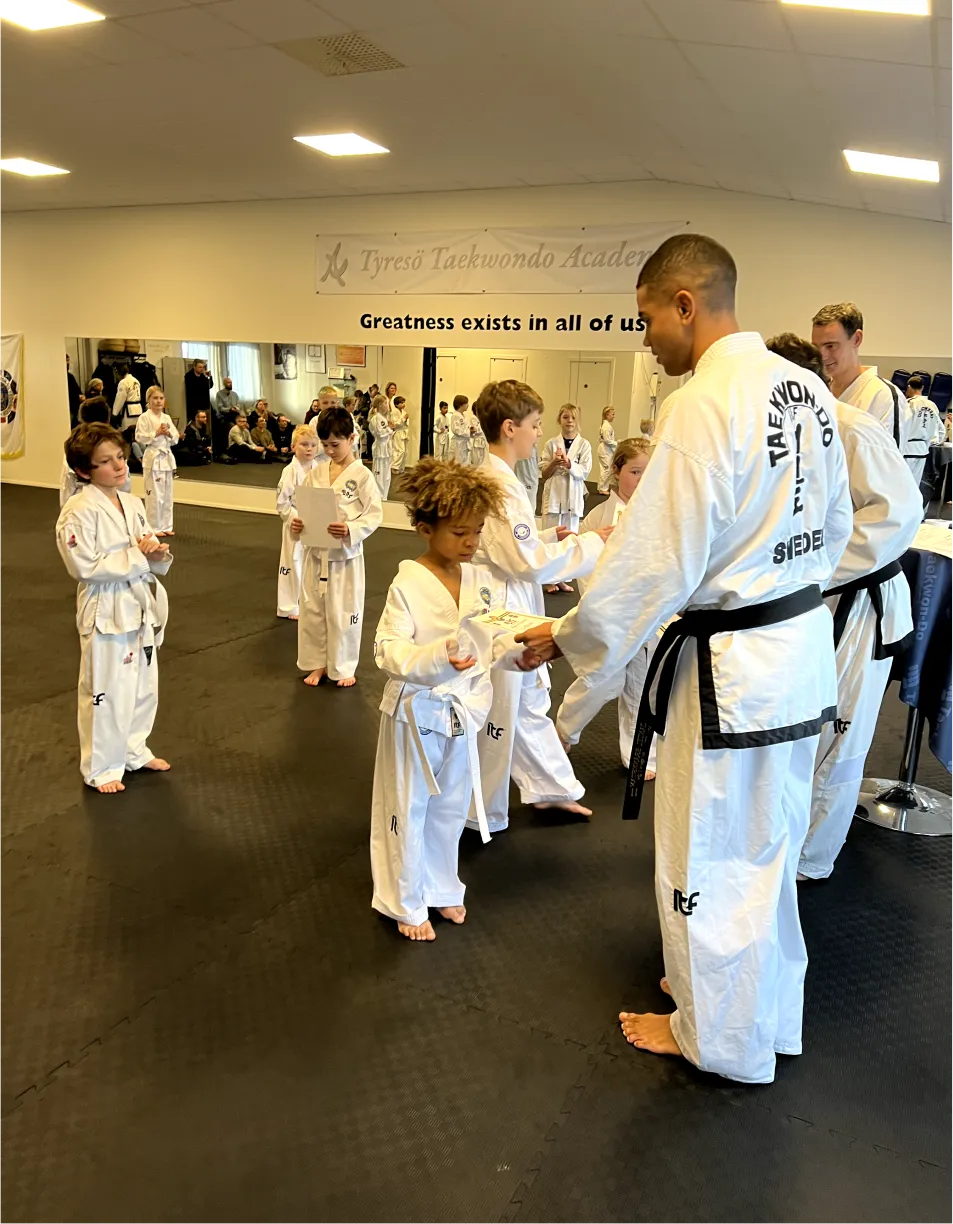 Tyresö Taekwondo Academy IF — kampsport-studio i Tyresö, Stockholm — 3