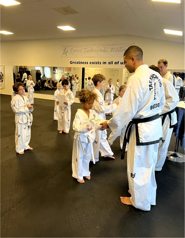 Tyresö Taekwondo Academy IF — martial arts-studio in Tyresö, Stockholm — 3