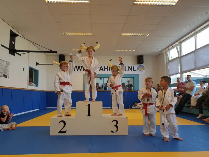 H.A.B.C. Dun Hong — vechtsport-studio in Geleerdenbuurt, Den Helder — 2