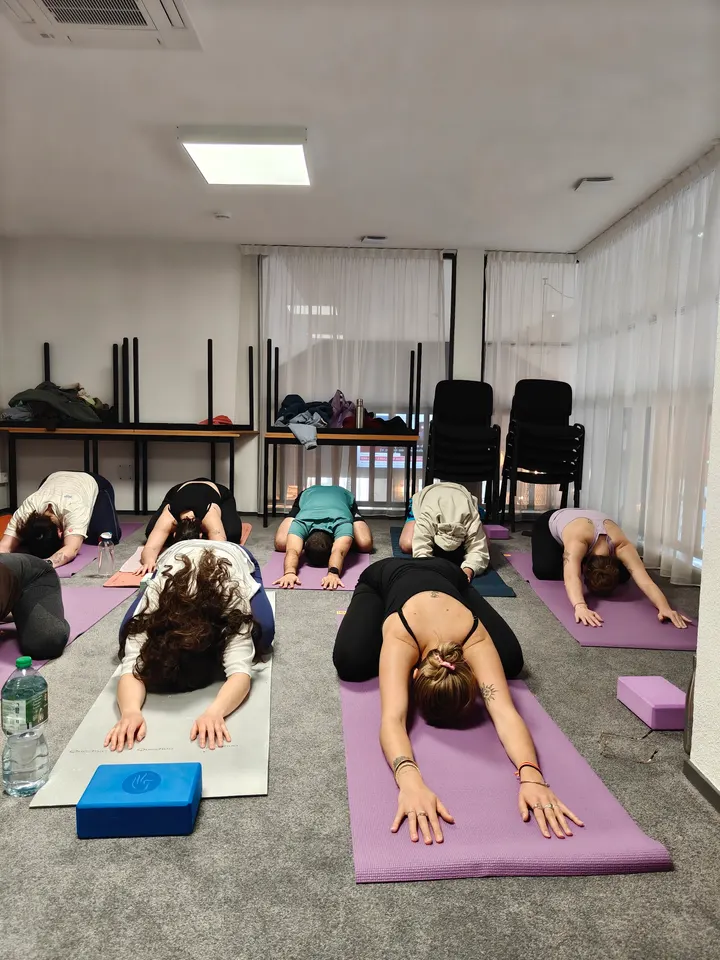 Moun reiki yoga - professeur de yoga Angers — yoga-studio à Lac de Maine, Angers — 2