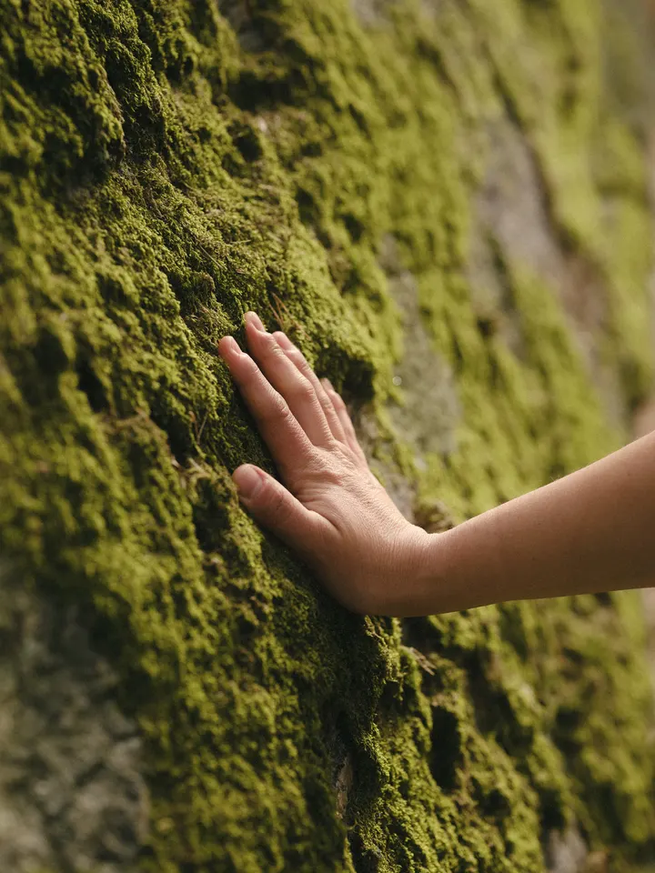 Holistic Nutrition and Yoga — yoga-studio i Häröd, Henån — 3