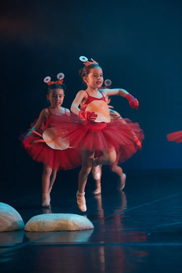 Escola De Dança De Ermesinde — dança-studio em Porto Carreiro, Porto — 3