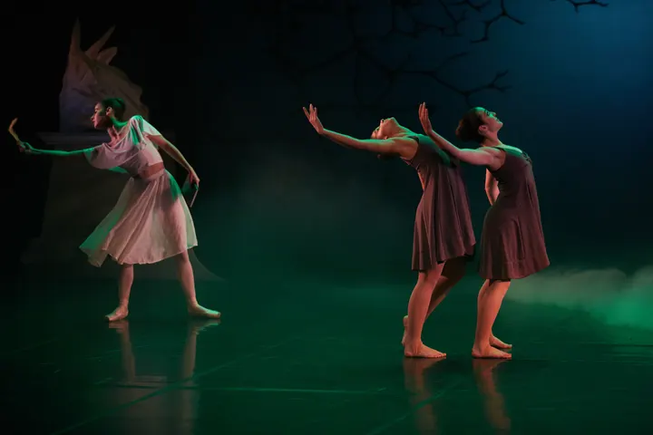 Escola De Dança De Ermesinde — dança-studio em Porto — 4