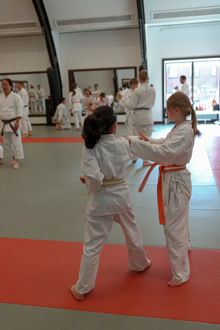 Knallens Karateklubb — kampsport-studio i Borås — 3