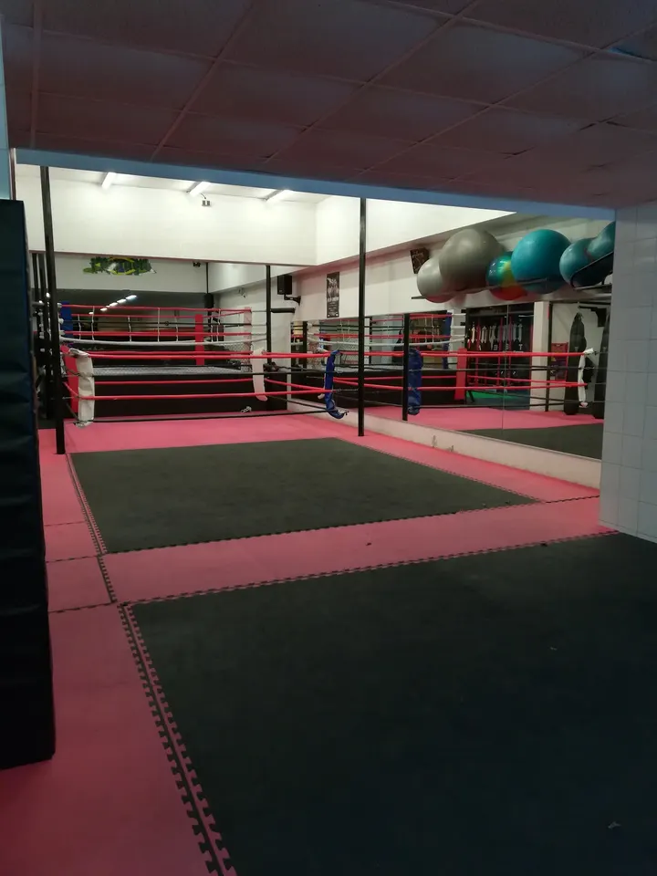Impacto Team Stuttgart — mma-studio in Ostheim, Stuttgart — 3