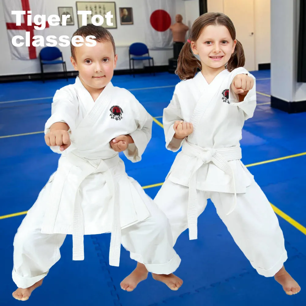 Westwood Karate Academy — martial arts-studio in Wickford — 2