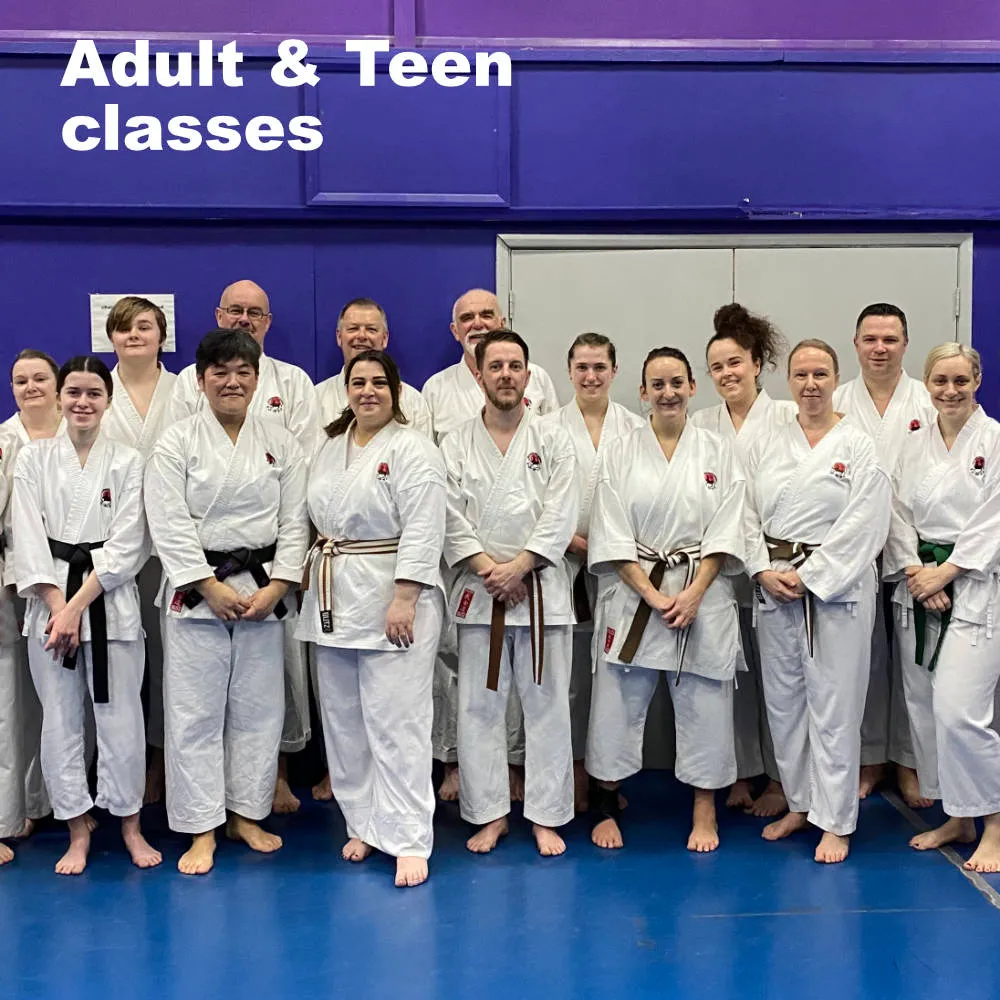 Westwood Karate Academy — martial arts-studio in Wickford — 3