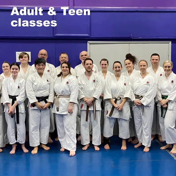 Westwood Karate Academy — martial arts-studio in Rayleigh — 3