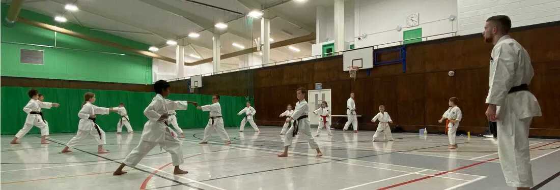 Westwood Karate Academy — martial arts-studio in Wickford — 3
