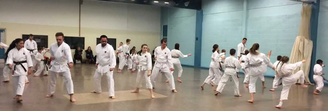 Westwood Karate Academy — martial arts-studio in Wickford — 4