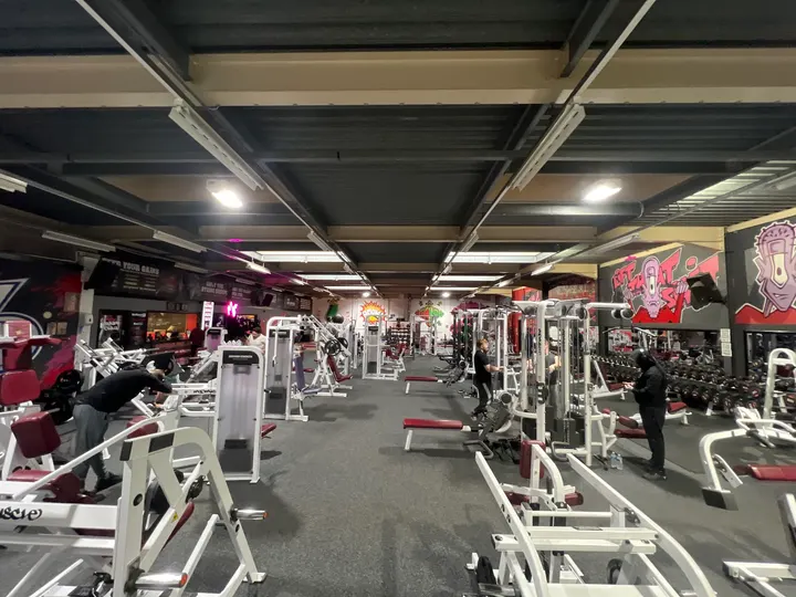 MyoMuscle Gym — Fitness Studio in Shotton, Peterlee