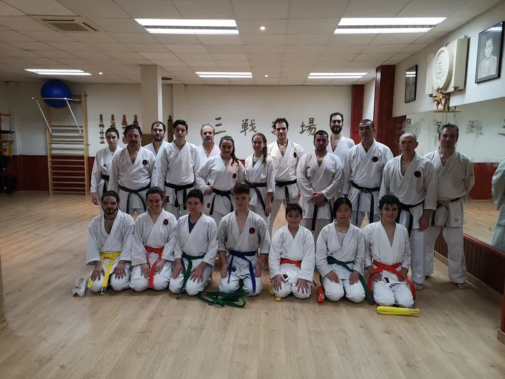 Escuela De Karate & Kobudo Sanchin Dojo — Artes marciales en El Pilar, Talavera de la Reina