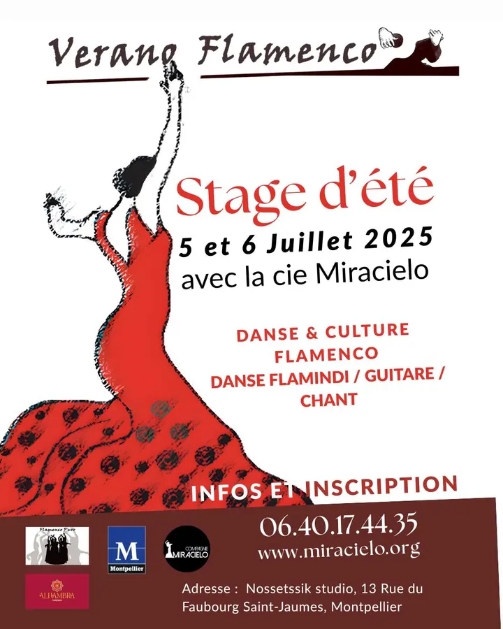 Association Flamenco Puro — danse-studio à Montpellier — 4