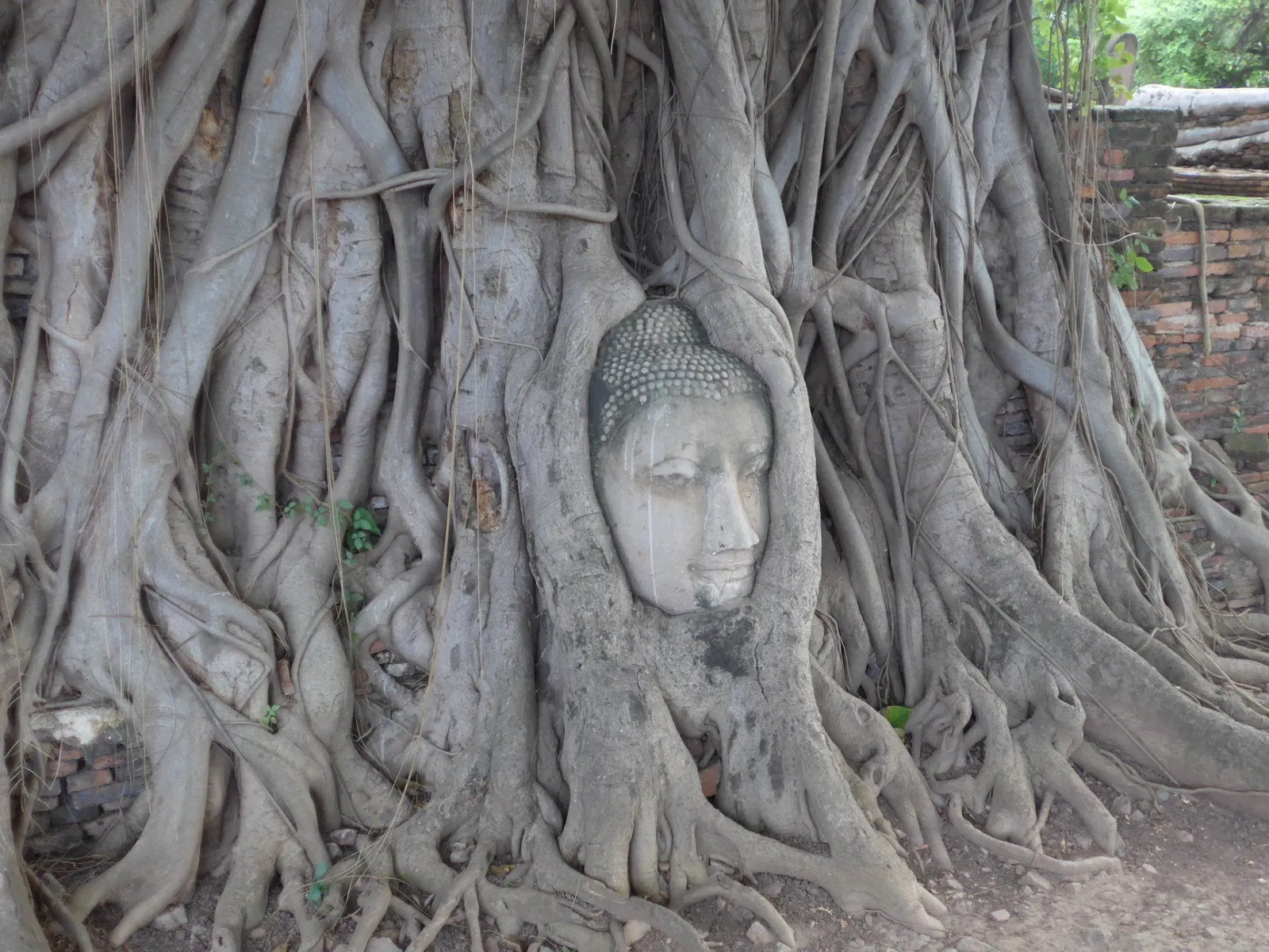 Mangoyoga Hof — yoga-studio i Hof — 4