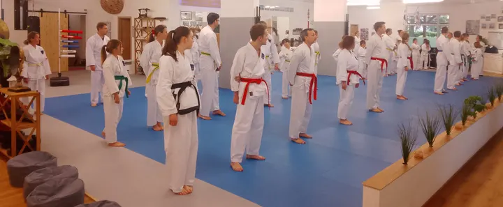 Ludwig Hegner Taekwon-Do Schule — Kampfsport in Kirchheim bei München, München