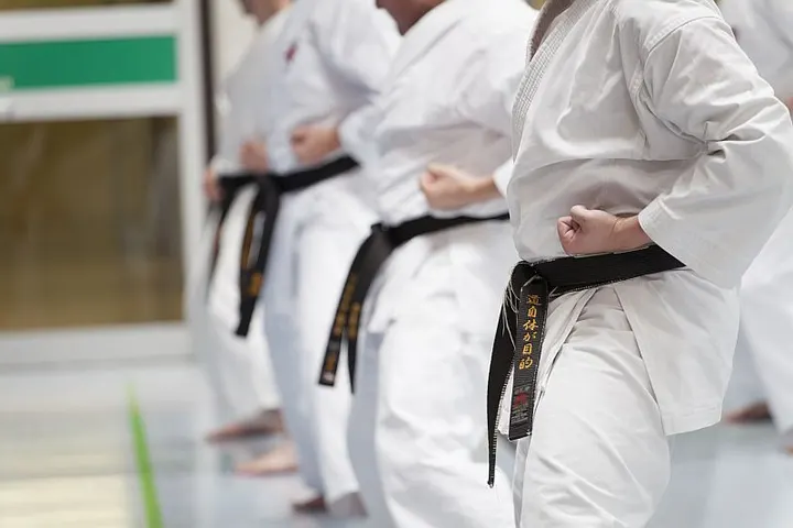 Karate-Dojo Lehrte e.V. — Kampfsport in Südstadt, Hannover
