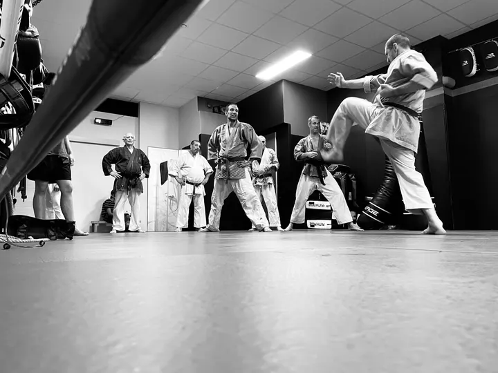 Kindaï Dojo Nice — arts martiaux-studio à Saint-Barthélemy, Nice — 2