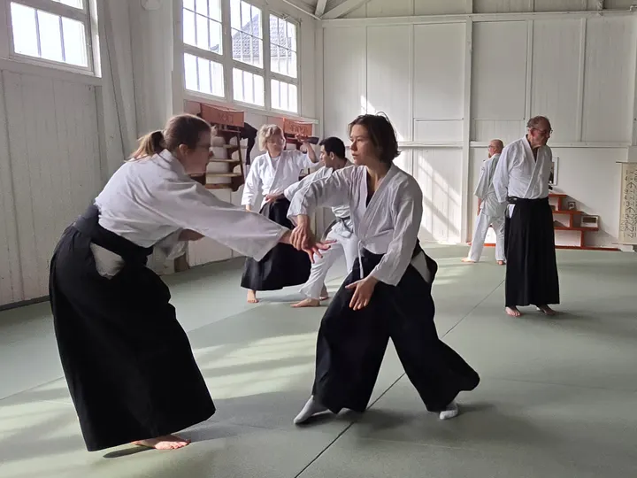 Takemusu Aikido Dortmund — kampfsport-studio in Dortmund — 4