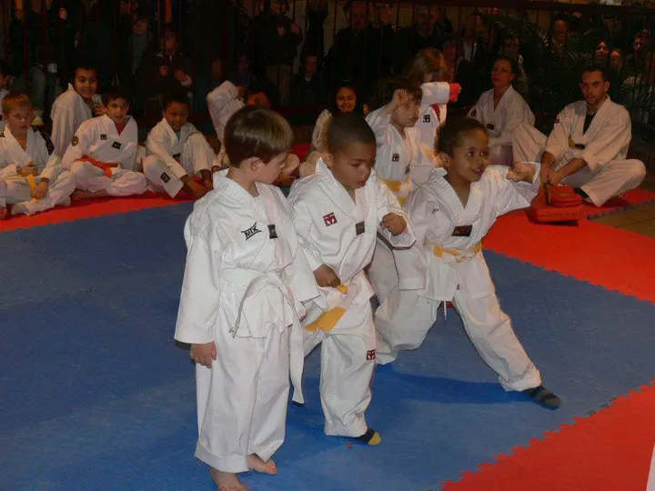 Taekwondo Elite 76 Adresse — Arts martiaux à Quartier Gare / Jouvenet, Rouen