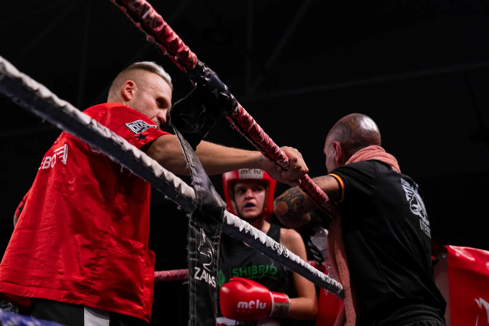 Gimnasio Boxeo k1 bjj Utebo — artes marciales-studio en Utebo — 4