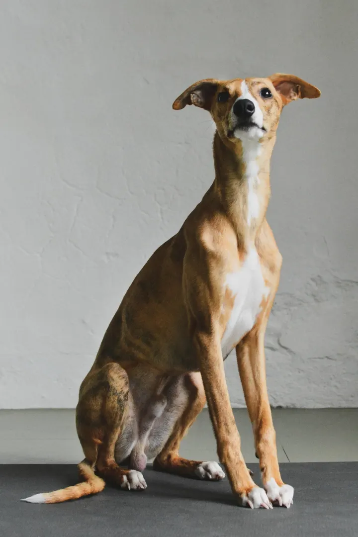 The Breathing Space — yoga-studio in Amsterdam — 5