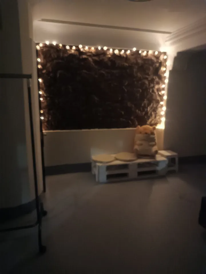 Escuela de baile Nexus Studio — baile-studio en Pronillo, Santander — 2