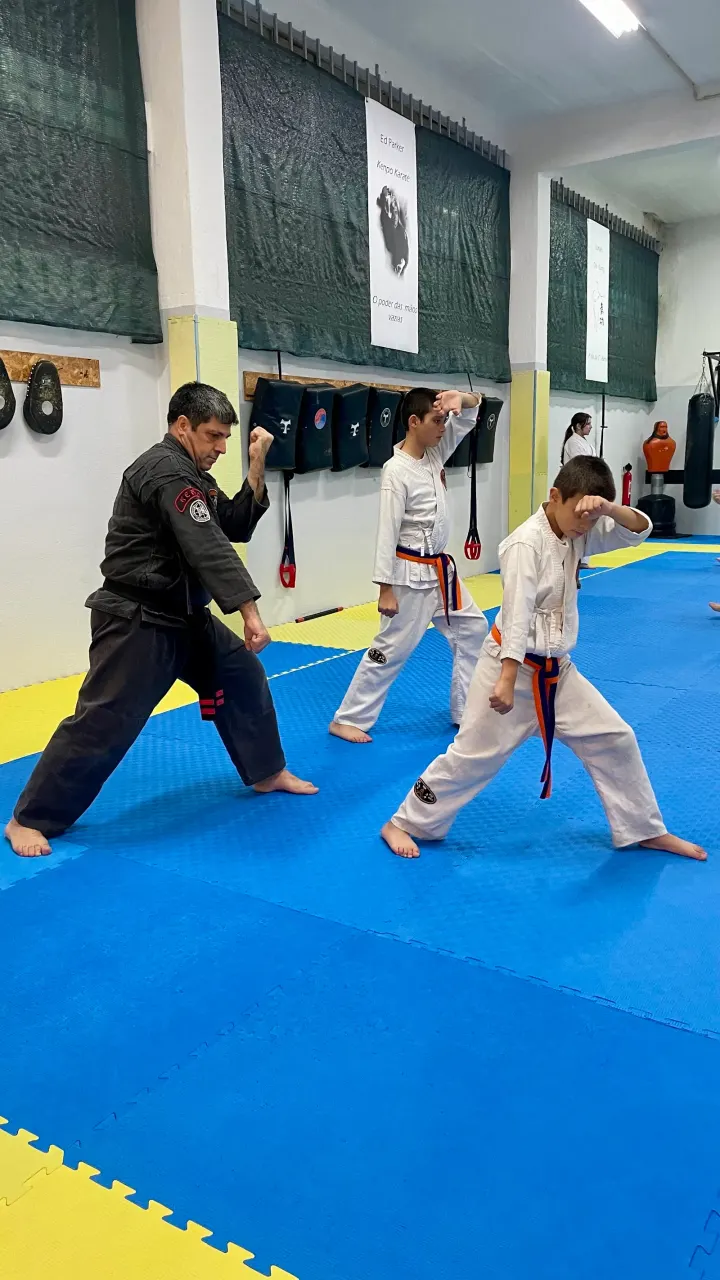 Academia Wu Wei - Artes Orientais — artes marciais-studio em Mafra — 3