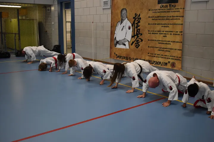 Ikigai Dojo — Vechtsport in Zoetermeer