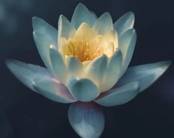 Yoga et Viniyoga Dessoliès Pierre — Yoga à Val de Murigny, Reims