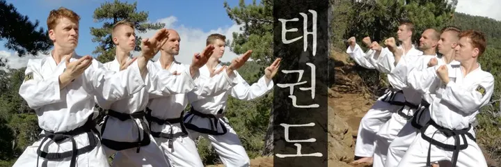 Taekwon-Do Center Dresden-Plauen — Kickboxen in Plauen, Dresden