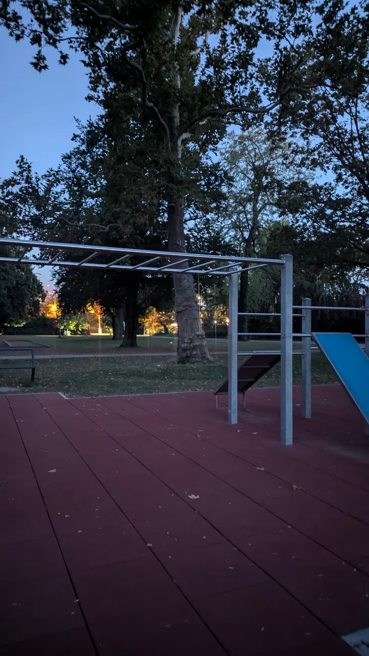 Calisthenics Park | Street Workout Park | Calisthenics-Anlage — fitnessstudio in Ludwigshafen am Rhein — 5