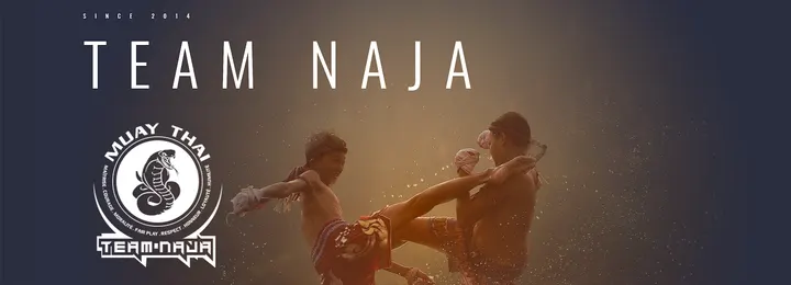 Team Naja Boxe — Arts martiaux à Lille