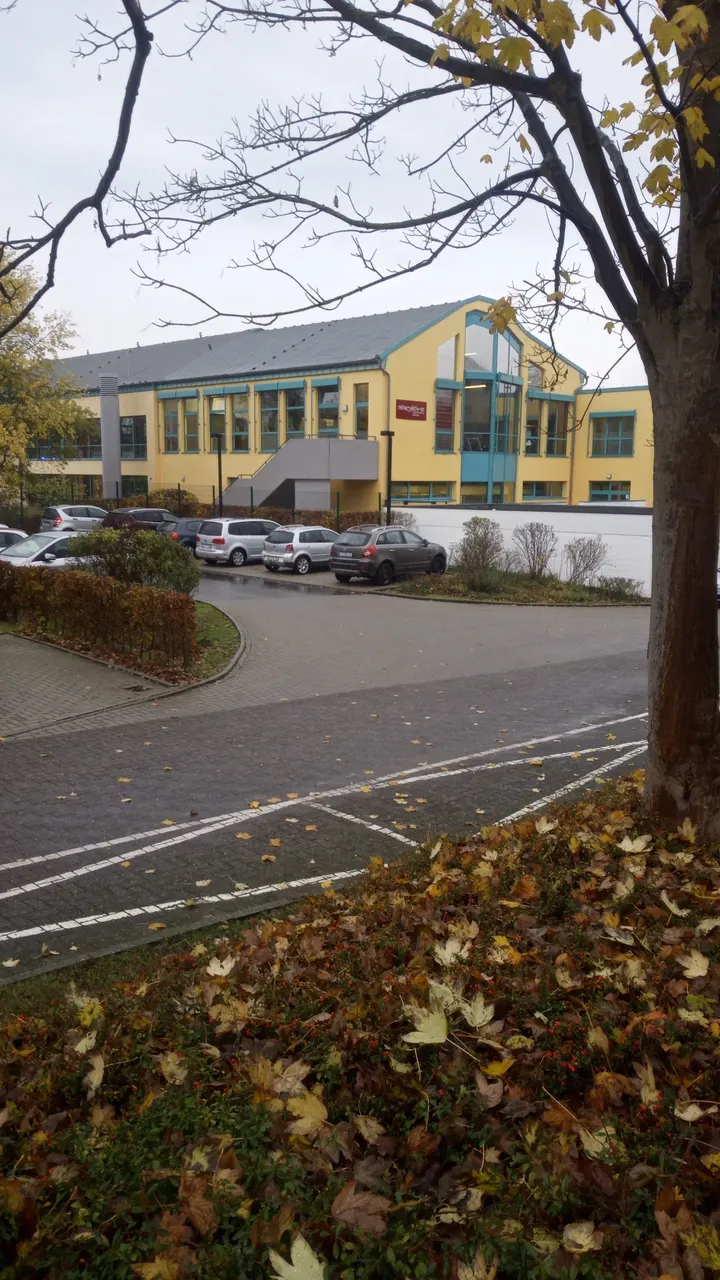 rehaaktiv-os — pt-studio in Schinkel, Osnabrück — 2