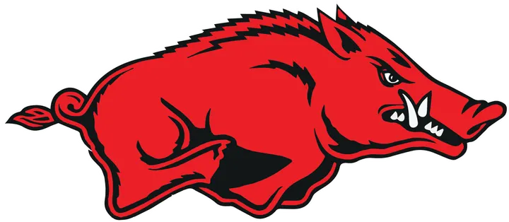Razorbacks — træningsstudio i Uhrhøj, Vejle — 2