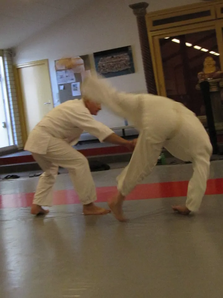 Stichting Aikikai Aikido Geldrop — vechtsport-studio in Braakhuizen-Noord, Geldrop — 2