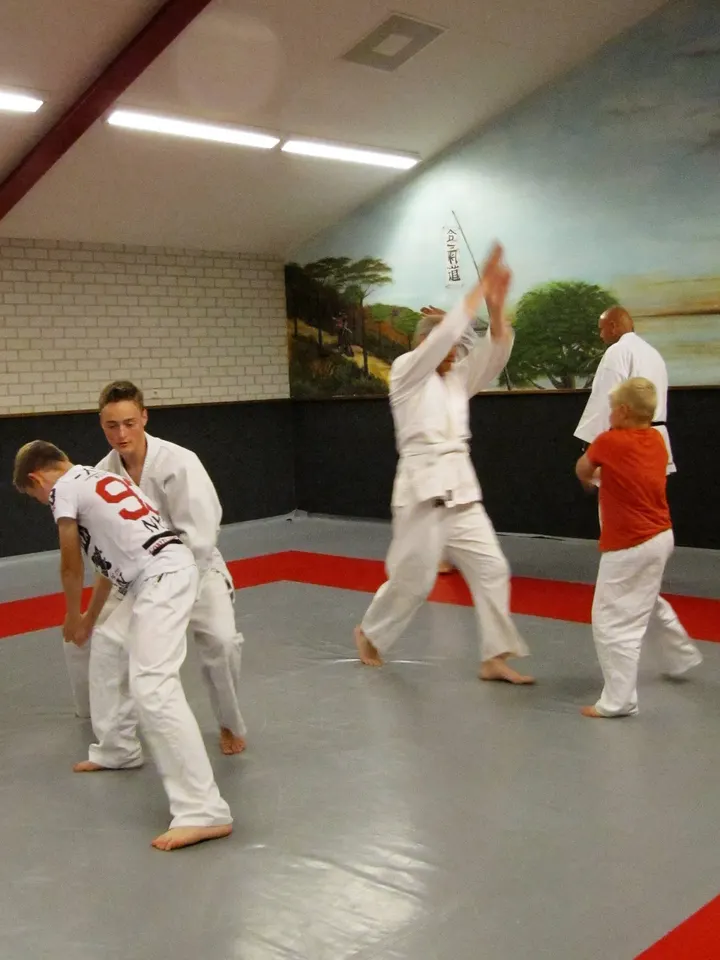 Stichting Aikikai Aikido Geldrop — vechtsport-studio in Braakhuizen-Noord, Geldrop — 3