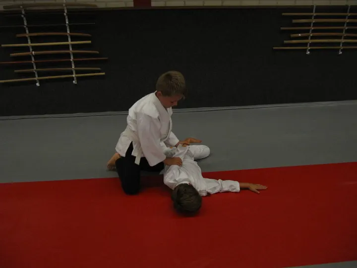 Stichting Aikikai Aikido Geldrop — vechtsport-studio in Geldrop — 4