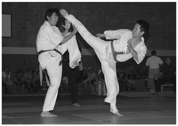 Ichigeki Academy Frankfurt — kampfsport-studio in Ostend, Frankfurt am Main — 3