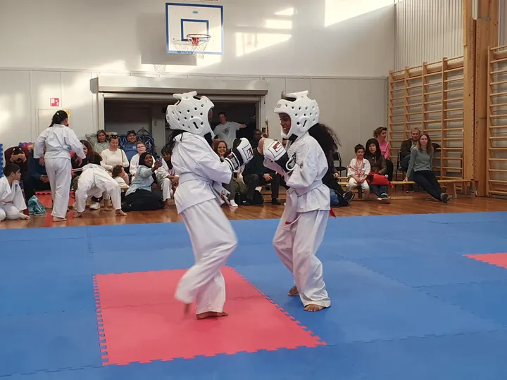 Lørenskog Karate Klubb — Martial Arts i Bensen, Fjellhamar