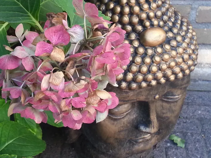 Yoga Oldenzaal — Yoga in Beuningen