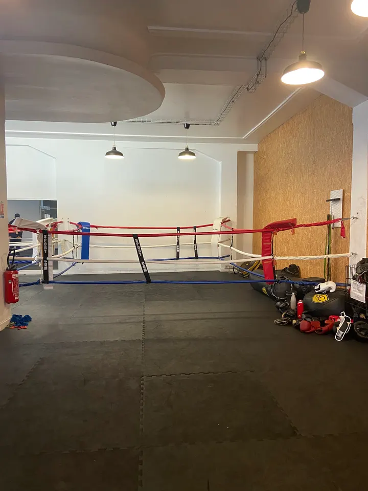Battling Club Strasbourg — arts martiaux-studio à Strasbourg — 4