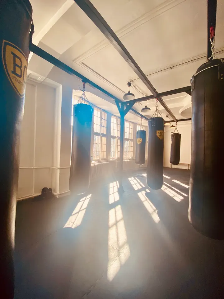 Battling Club Strasbourg — arts martiaux-studio à Strasbourg — 5